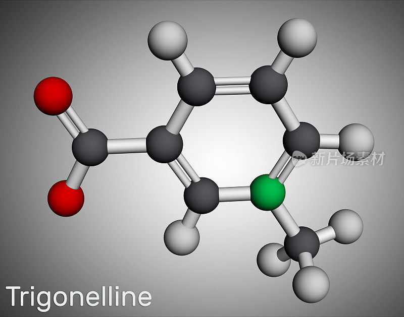 葫芦巴碱植物生物碱分子。它是烟酸维生素B3甲基化产物，甲基化烟酸。分子模型。3 d渲染。